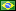 Brazilian Português